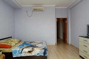 1-комнатная квартира Черноморская 39 в Анапе фото 6