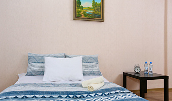 &quot;Чей Чемодан (Голубой огонек)&quot; 1-комнатная квартира в Омске - фото 2