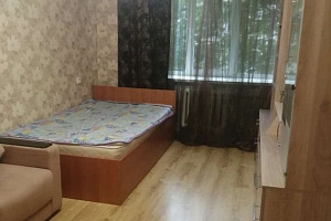 Квартиры Приозёрска 1-комнатные, 2х-комнатная Ленина 30 1-комнатная - фото