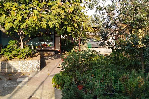 Гостевые дома Сириуса у парка, "Отдых у Татьяны" у парка - фото