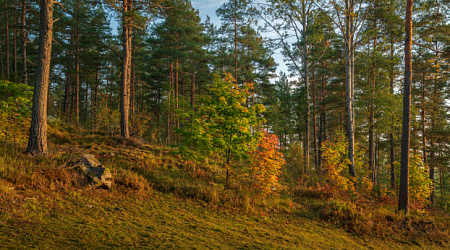 Отдых в Карелии осенью 2023