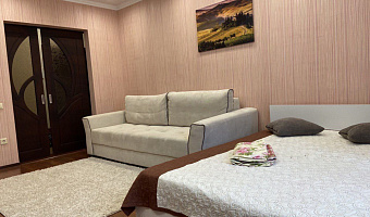 1-комнатная квартира Чистопольская 74 в Казани - фото 4