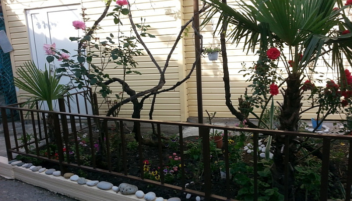 &quot;Орхидея&quot; гостевой дом в Гаграх, ул. Кольцевая, 7 - фото 1