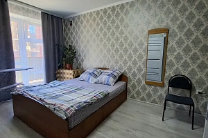 1-комнатная квартира Ишкова 99 в Михайловске фото 18