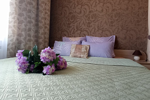 Гостиницы Новосибирска 5 звезд, 1-комнатная Татьяны Снежиной 49 5 звезд - фото