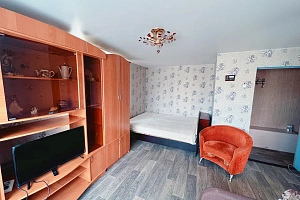 Мотели в Медвежьегорске, 1-комнатная Дзержинского 12 мотель - забронировать номер