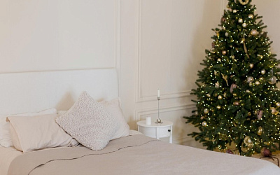 Гостиницы и отели Сочи на Новый год недорого