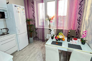 1-комнатная квартира Ярыгинская 19А в Красноярске 2