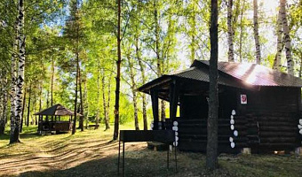 &quot;На озере Синец&quot; гостиница в Рязани - фото 2