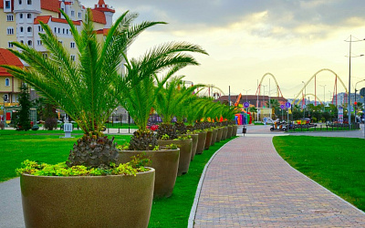 Отдых в Сириусе без машины — пешком и на велосипеде