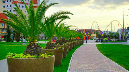 Отдых в Сириусе без машины — пешком и на велосипеде