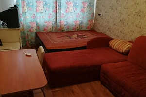 1-комнатная квартира Новокомсомольская 4 в Ужуре фото 5