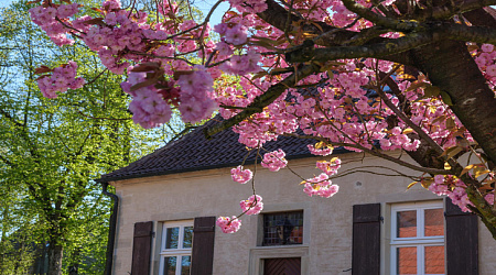 Что важно учитывать при проживании в гостевом доме в Лазаревском весной