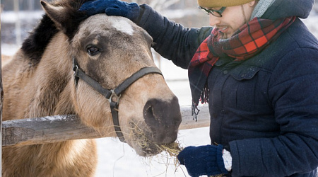 Отдых в Джубге зимой 2026 — экскурсии, цены и куда поехать