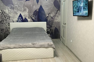 2х-комнатная квартира Спегальского 5 в Пскове фото 20