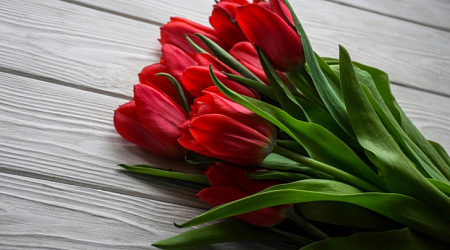 Как отметить 8 марта в Сочи: лучшие идеи для праздника у моря