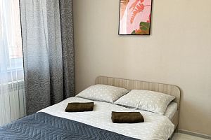 Квартира-студия Пискунова 142/7