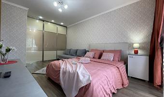 1-комнатная квартира Мира 88А в Калининграде - фото 4