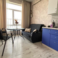 1-комнатная квартира Суворовская 71