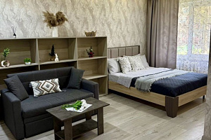 1-комнатная квартира Чкалова 86/2