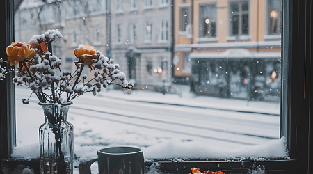 Лучшие кафе для согрева зимой в Санкт-Петербурге