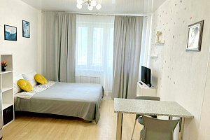 Квартиры Архангельска 1-комнатные, 1-комнатная Обводный канал 76 1-комнатная