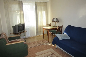 1-комнатная квартира Скуридина 1 в Ломоносове фото 22