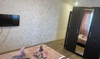 1-комнатная квартира Касьянова 4 в Иркутске - фото 2