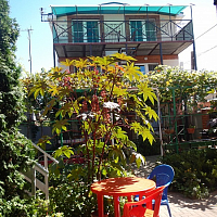 &quot;Дуняша&quot; частный сектор