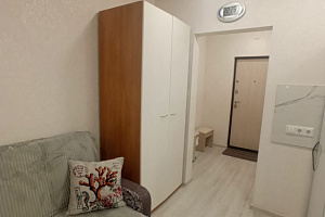 1-комнатная квартира Татьяны Снежиной 42/1 в Новосибирске 8