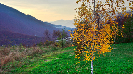 Как насладиться осенью в Сочи: лучшие места для прогулок