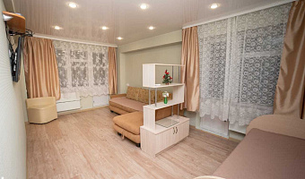 1-комнатная квартира Смольный Буян 18 в Архангельске - фото 3