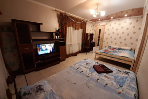 1-комнатная квартира Чкалова 64/а в Ярославле фото 4