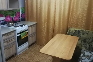 1-комнатная квартира Новокомсомольская 4 в Ужуре фото 4