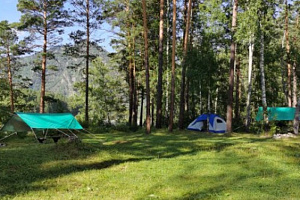 Базы отдыха Алтая с рыбалкой, "Forest Camp Altay" с рыбалкой - забронировать