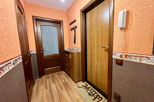 Квартиры Новосибирска с размещением с животными, 2х-комнатная Блюхера 17/2 с размещением с животными - раннее бронирование