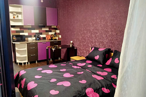 Квартира-студия Колмовская 83