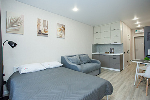 Квартира-студия Державина 50