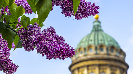 Где остановиться в Санкт-Петербурге в начале весны