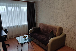 1-комнатная квартира Александра Невского 98 в Мурманске 6