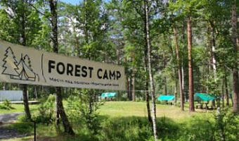 &quot;Forest Camp Altay&quot; кемпинг в п. Барангол - фото 2
