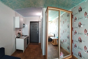 &quot;Уютная после ремонта&quot; 1-комнатная квартира в Лесозаводске фото 4