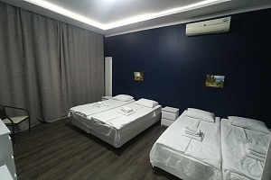 1-комнатная квартира Надежды 8/2