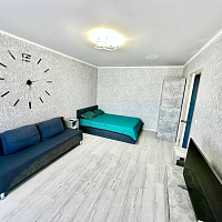 1-комнатная квартира Адмирала Пустошкина 14