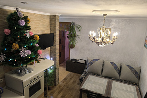 "Оливия люкс-коннект на Радищева" 2х-комнатная квартира