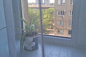&quot;У Трёх Котов&quot; 1-комнатная квартира в Волгограде 14