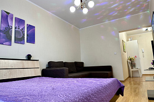 1-комнатная квартира Сибгата Хакима 44 в Казани 5
