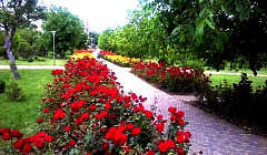 Фото объекта ««Ореховая роща» гостиница в Анапе, проезд Крутой, 4», 4