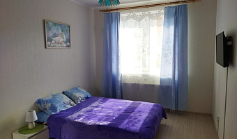1-комнатная квартира Чайковского 66А в Екатеринбурге - фото 2