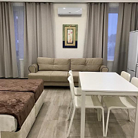 Квартира-студия Пионерский проспект 259/и